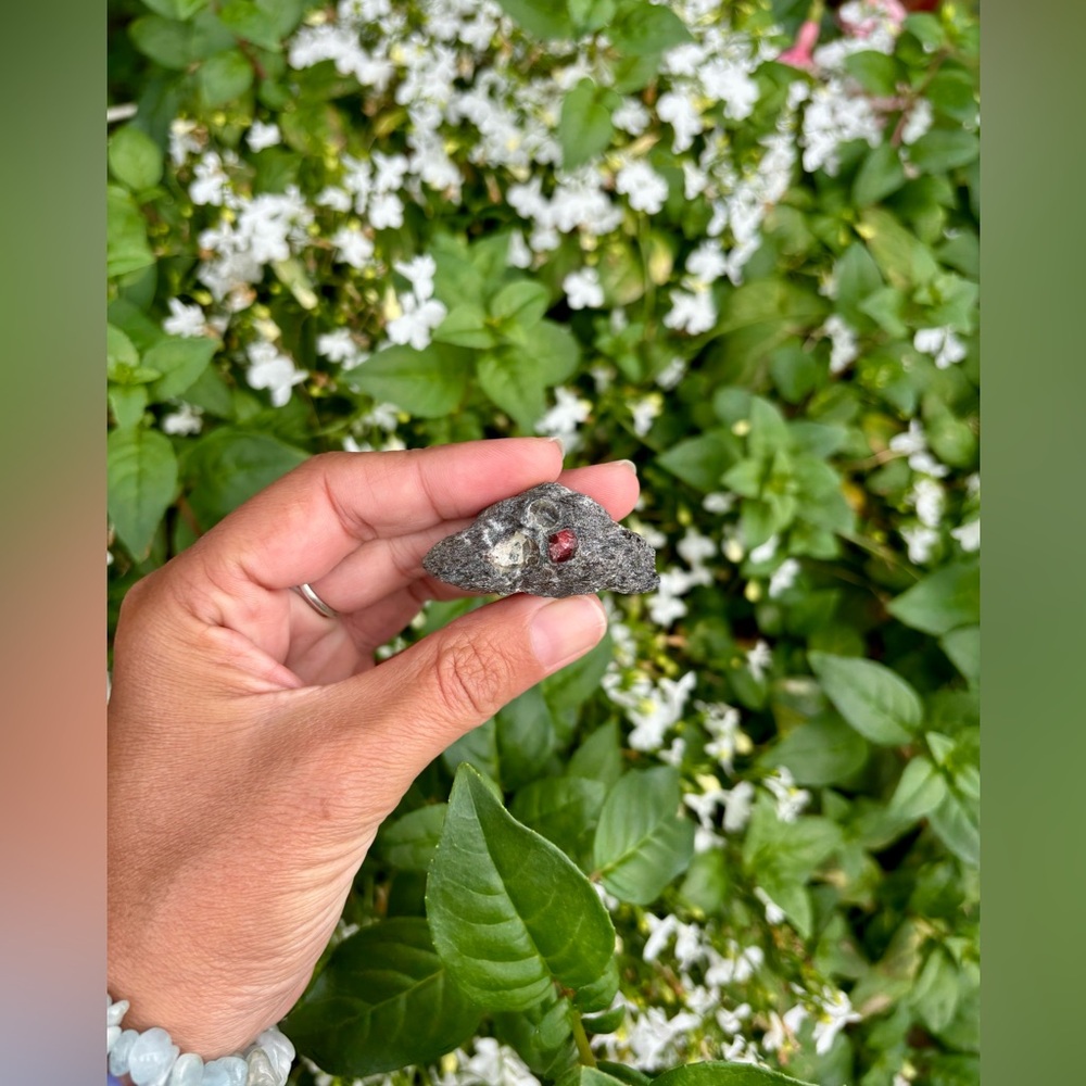 Alaskan Garnet on Schist